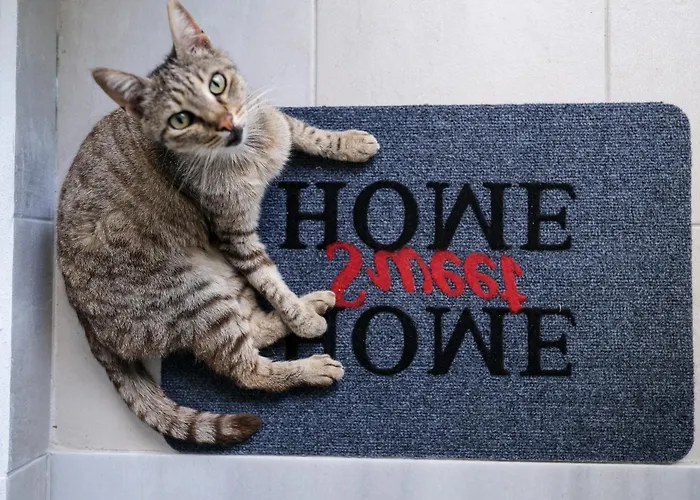 דירה Rhodes Retreat: Modern Comfort In Serene Luxury עיר רודוס